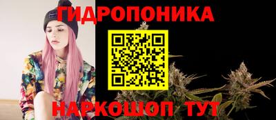 мяу мяу кристалл Гусь-Хрустальный