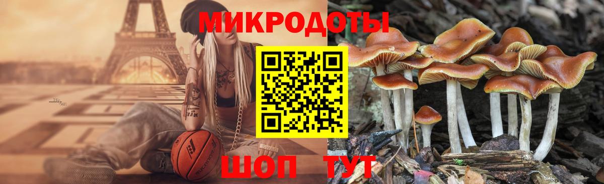 Галлюциногенные грибы прущие грибы Обнинск